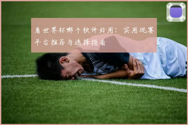看世界杯哪个软件好用:实用观赛平台推荐与选择指南