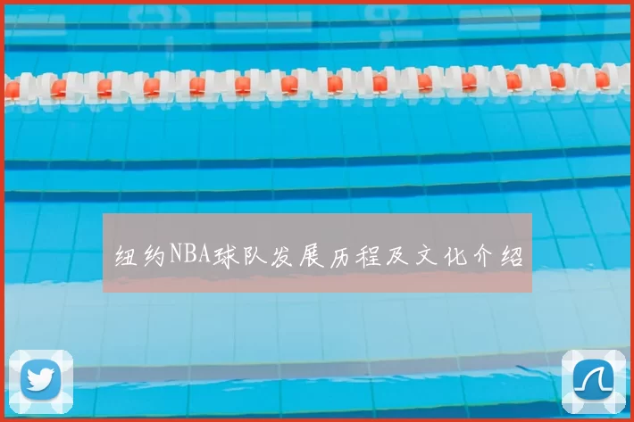 纽约NBA球队发展历程及文化介绍