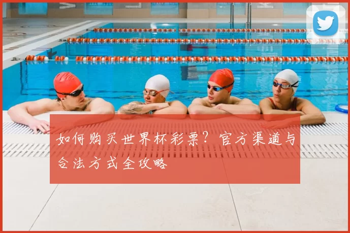 如何购买世界杯彩票？官方渠道与合法方式全攻略