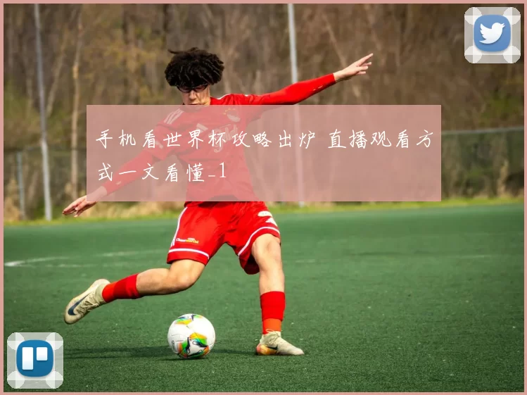 手机看世界杯攻略出炉 直播观看方式一文看懂_1