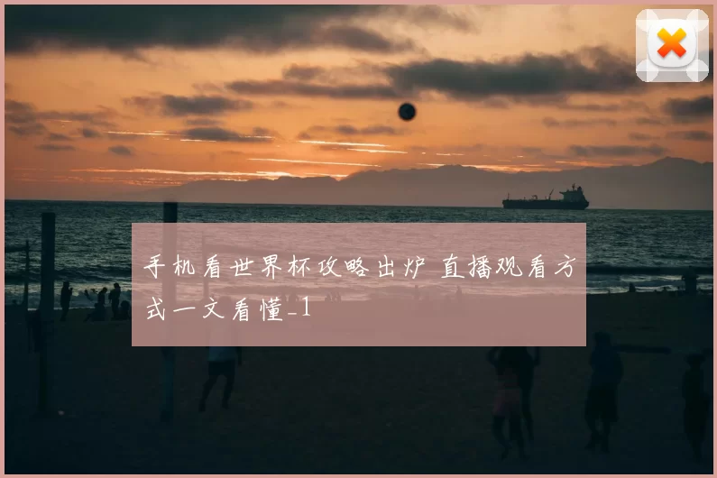 手机看世界杯攻略出炉 直播观看方式一文看懂_1