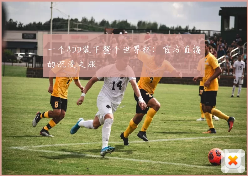 一个App装下整个世界杯:官方直播的沉浸之旅