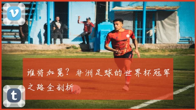 谁将加冕？非洲足球的世界杯冠军之路全剖析