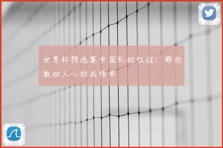 世界杯预选赛中国队的征程：那些激动人心的成绩单