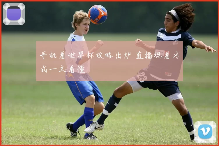 手机看世界杯攻略出炉 直播观看方式一文看懂